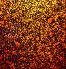 Bubbles On Burnt Old Photo Film Background