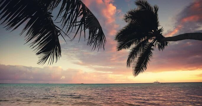 Paradise tropical island view with palm trees toward sea horizon golden sun rays