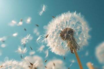 A close-up view of a dandelion being blown by the wind on a clear and sunny day.