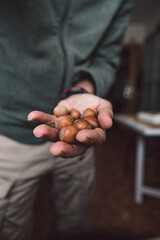 Dried fruits in kitchen packed and in ready-to-eat containers