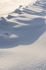 beautiful fresh snow after a snowfall in clear weather