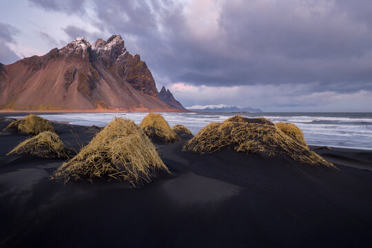 Vestrahorn mountain behind black sand dunes with patches of grass on a cloudy stormy day on Stokksnes peninsula in Iceland