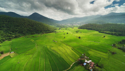 Aerial view of lush green rice fields and mountainous landscape in an agricultural farming background, creating a beautiful patterned field.