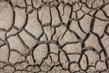 Texture Of Cracked Earth Top View