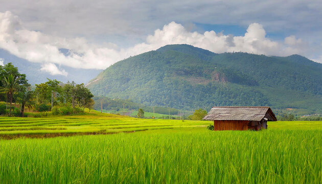 A captivating image of agriculture at its finest, with expansive green rice fields and majestic mountains.