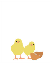 egg and yellow cute chick