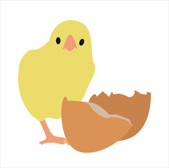egg and yellow cute chick