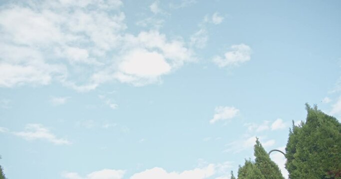 A celebratory moment unfolds as graduates toss their caps into the air, symbolizing both achievement and the commencement of a new journey.
