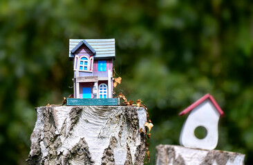 Kleines verwittertes buntes Holzhaus mit vertrockneten Blättern und Spinnweben steht auf einem...