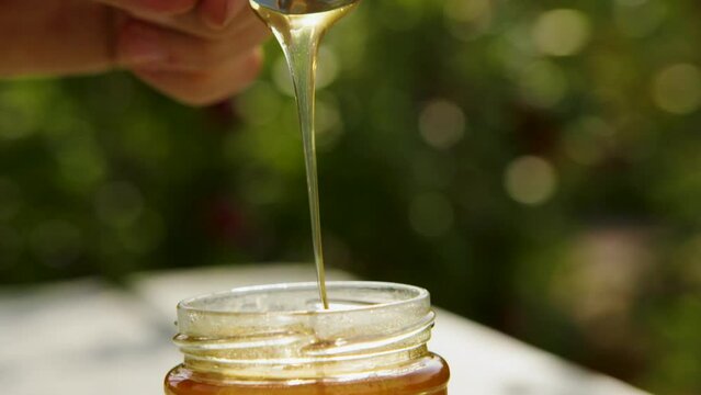 Honey dripping from metal teaspoon dipper into a glass jar during summer