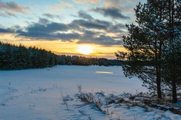 The setting sun on the horizon over a pine forest. Evening winter landscape with contrasting cloudy sky