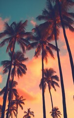 Fototapeta na wymiar Modern background for cellphone, mobile phone, ios, android, palm trees in silhouette at a sunset