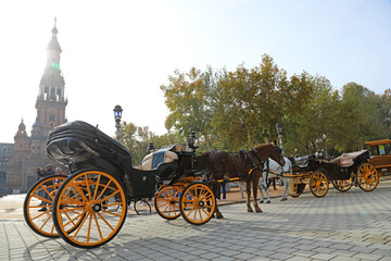 Fototapeta premium sevilla plaza de españa carruaje andalucía 4M0A5768-as24