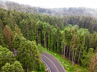 Aerial view of a road in the middle of the forest