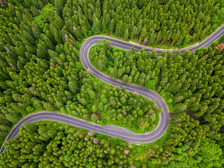 Aerial view of a road in the middle of the forest