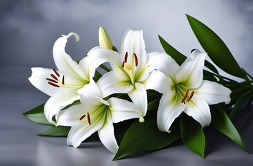 Fototapeta na wymiar white lilies on a black background
