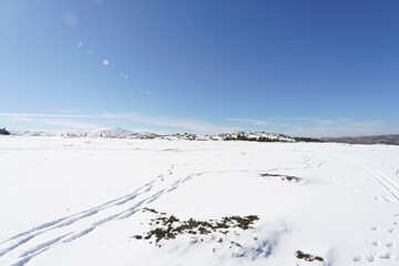 Fototapeta na wymiar Nieve en un dia de sol y cielo azul