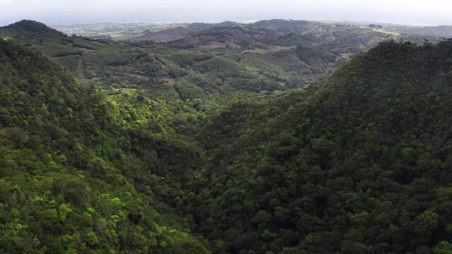 Picturesque slow flying drone over the deep mountain green jungle forest wide valley. Cascade 500 Pieds waterfall area on Mauricius island with Indian oceanon horizon. 4K Traveling and Nature footage.