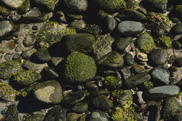 Close up of rocks in Ensenada de Muertos, Dreams Bay, LA Paz, Mexico