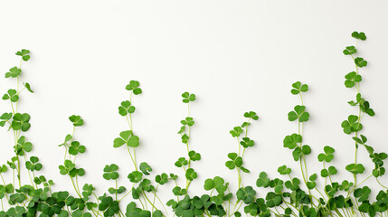 Sprightly Sprigs: A Chain of Shamrocks Ascending in Light Airiness