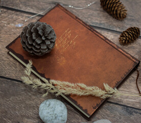 Old book, dried flowers, cones. Gloomy interior. Gothic accessories.