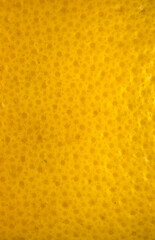 Yellow lemon peel, macro photo of food. High-resolution texture.