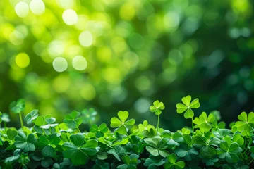 Foto op Canvas St Patrick's day background with lucky clover generative ai  © GHart