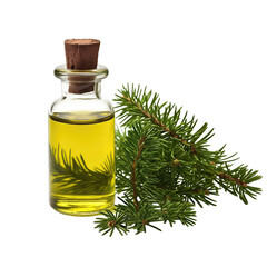 Obraz na płótnie Canvas fresh raw organic balsam fir oil in glass bowl png isolated on white background with clipping path. natural organic dripping serum herbal medicine rich of vitamins concept. selective focus