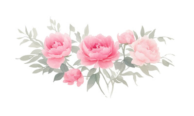 Peonies flowers, Set flowers watercolor, Pink flowers	