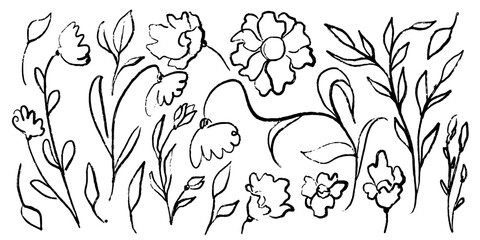 Set of flowers, leaves, floral stems. Wild plants drawing with grunge brush. Black and white botanical elements. Vector illustration.