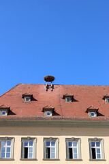 Storchennest in der Stadt auf Barockgebäude.