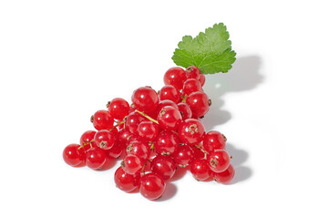 Red currant berries with leaf isolated on white background.