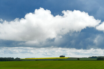 Cumulus Wolken im Gebiet Stonehenge mit gelb leuchtendem Rapsfeld und grünen Feldern