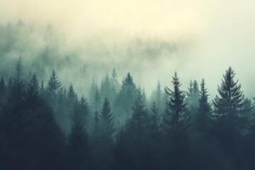 Misty forest landscape Vintage retro style Fir trees