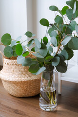 cozy home lifestyle still life eco friendly interior, straw basket and vase with eucalyptus flowers