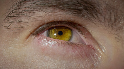 Beautiful male brown eye blinking and mindful looking next to the camera, extreme close up low...