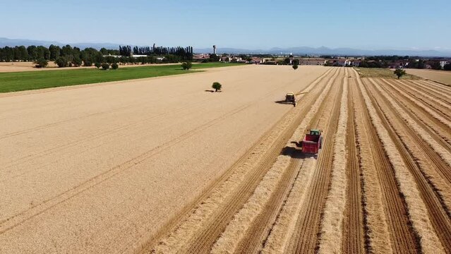 Unloading threshed grain from above the drone - Po Valley - Alessandria - Piedmont - Italy
