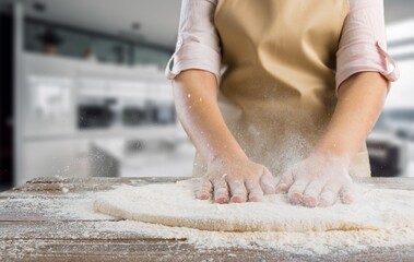 Obraz na płótnie Canvas Shoot of woman prepare dish in the kitchen