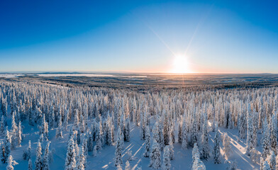 Obraz premium landscape with snow