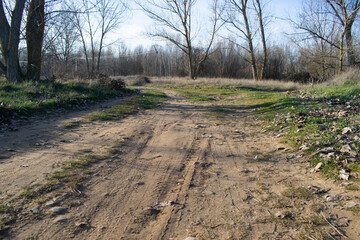 Paisaje de caminos atravesando un bosque invernal.