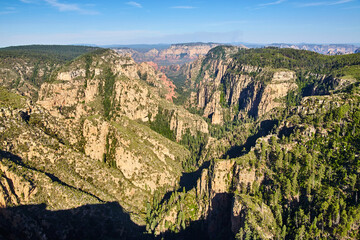 Aerial View of Sedona Canyon with Lush Forest and Red Rock Formations