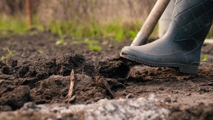 agriculture, farmer dripping soil foot rubber boots, ground, earth business, worker digs fertile soil shovel, ecological vegetable growing, agricultural business, shovel tool, close-up, shovel digging