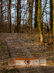 Achtung Baum Fällung