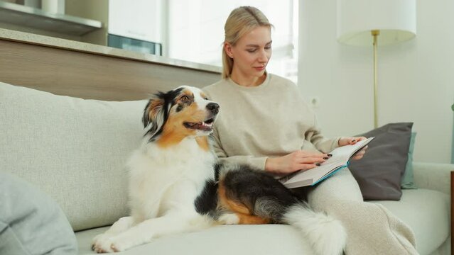 Australian Shepherd dog lounging on the sofa with a woman engrossed in reading