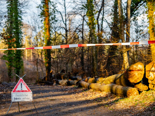 Achtung Baum Fällung