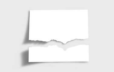 Torn Ripped white paper texture