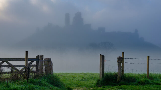 Misty spring sunrise on Corfe Castle, Isle of Purbeck in Dorset, UK
