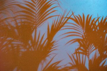 Fototapeta na wymiar Sfondo colorato con ombre di palme