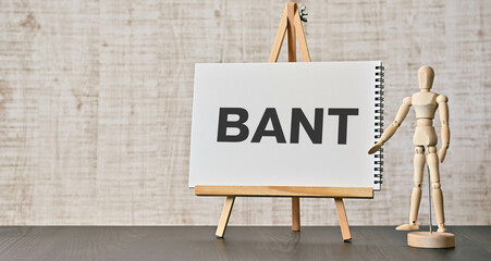 There is notebook with the word BANT. It is an abbreviation for Budget, Authority, Needs, Timeframe...
