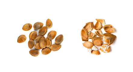 Dry Apricot Kernels and Nutshell Isolated on White Background